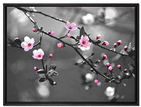 Pixxprint Exotische Sakura Blüten Leinwandbild 80x60 cm im Bilderahmen, Wandbild, Schattenfugenrahmen, Kein Poster