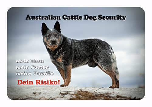 Merchandise for Fans Warnschild - Schild 30x40cm Motiv: Australian Cattle Dog Security (01)