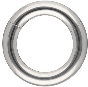 OTHER Piercing Ohrring Crystal Vorderseite Clicker Aus Titan Nasenring Lippenpiercing Stretcher Expander Silber Big Gauge, Dicke: 5 mm Innendurchmesser: 14 mm