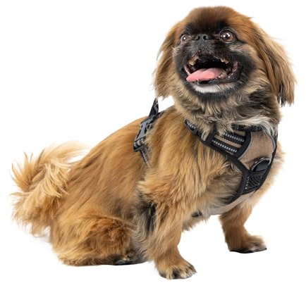 Ferplast Hundegeschirr kleine Hunde, 2 Haken für Maximale Kontrolle, Anti-Zug-Hundegeschirr, Verstellbar, Reflektierend und Atmungsaktiv, Hundegeschirr ideal für das Training S, Beige