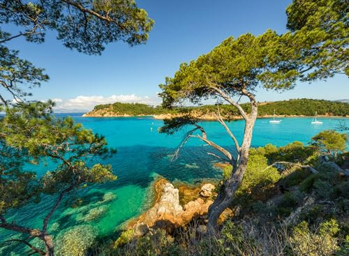 Ravensburger - Puzzle 500 Pezzi Vista Sul Mare | Puzzle Per Adulti 500 Pezzi | Puzzle Adulti Per Bambini Dai 14 Anni In Su | Regalo Compleanno Per Bambini Dai 14 Anni In Su | Misure 49x36cm