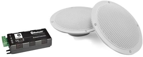 Leisure Kit HiFi Haut-parleurs Coniques 5 / 80W - Grille et résistance à l'eau avec Amplificateur Google Home Bluetooth Amazon Alexa