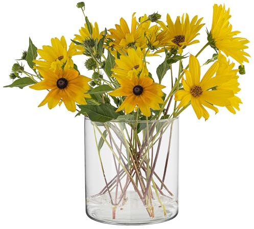 TREND FOR HOME Vaso Vetro Trasparente Cilindrico per Fiori e Tulipani - Decorativo da Interno, Contenitore per Candele | A: 15 cm, ⌀ 15 cm | 2350 ml | Calen