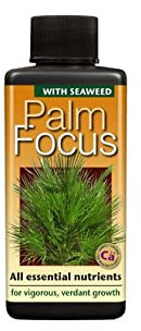 GT- Focus Range For Orchids Chillies,& More Specialist Plants Fruits & Trees (Palm Focus - 100ml)
