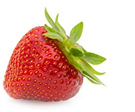 20 Verdi Erdbeerpflanzen - Frigo Plus Pflanzen - Pflanzzeit: März/April - Ernte: Juni - Erdbeersetzlinge/Erdbeerstecklinge - Erdbeerprofi.de