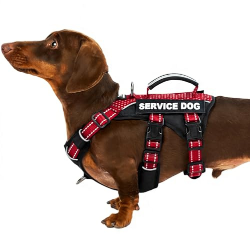 Huntboo Hundegeschirr Kleine Hunde, Sicherheitsgeschirr Hund Ausbruchsicher mit 6 Patches, Service Geschirr Hund mit Griff, Anti Zug Hundegeschirr, Verstellbar, 2 D-Ringe, Reflektierend (Rot,S)