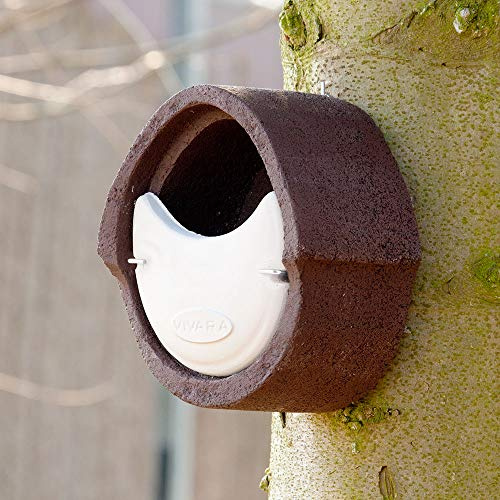 CJ Wildlife Nistkasten – Vogelnistkasten für draußen wetterfest – Holzbeton Woodstone Braun – für Rotkehlchen Zaunkönige – langlebig, isoliert, atmungsaktiv