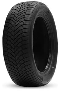 DOUBLE COIN - 215/65 R16 TL 102V DASP+ XL BSW M+S 3PMSF - Ganzjahresreifen