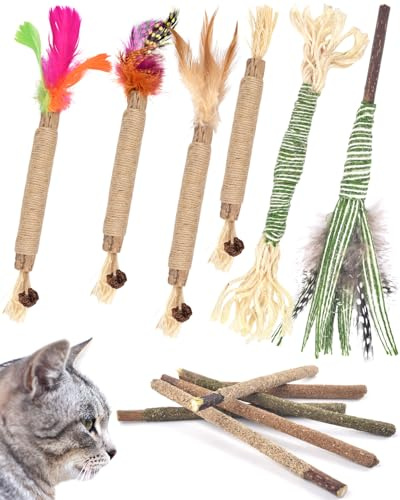 ERKOON Catnip Sticks, 12 pcs Katzenminze Sticks, Matatabi Stick Katze Kausticks Interaktives Catnipspielzeug, Cat Kauhölzer Silvervine Stick zur Katzen Zahnpflege und Gegen Mundgeruch