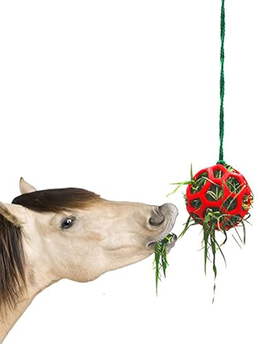 Hö med hästboll, hö leksak för hästmatning, hö för små djur, för förvaring