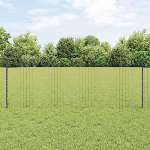 QJBSAVVA Gartenzaun Set Stahl 2500 x 2,7 x 80 cm Grau Zaun mit Pfosten Modernes Design Rostfrei Flexibel für Garten Terrasse Hof