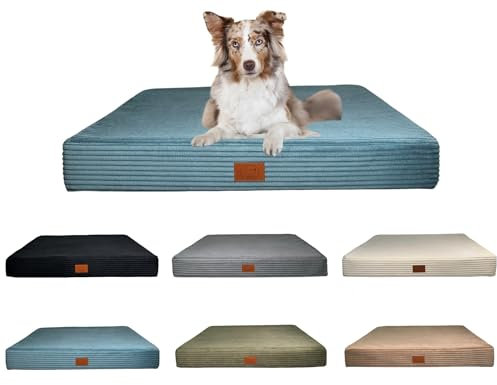 elropet Hundematte Cord orthopädisch/S, M, L, XL für alle Größen geeignet/Abziehbar und waschbar / 6 Azurblau, S (65x50x8cm)