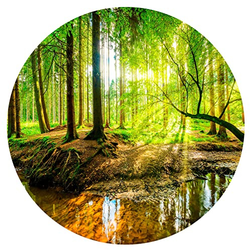 murando - Papier Peint Autocollant Rond, Stickers Muraux, Forêt, 180x180 cm