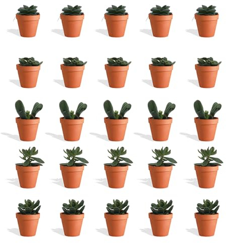 DutchLeafs Crassula Mix 20 Stück Verschiedene Mini-Sukkulenten im Ø 7 cm Terrakotta Blumentopf - Crassuloideae Dickblatt Sukkulent Kleine Pflanzen Sammlung Pflegeleichte Zimmerpflanzen - Höhe 8-15 cm