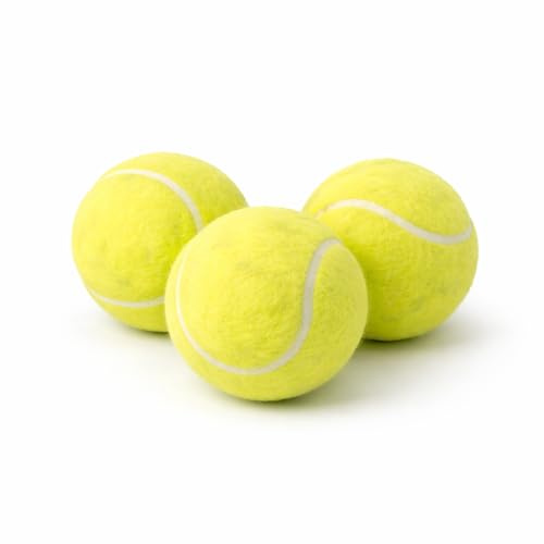 Aspect 3 Ball, Pressure less Training Exercise Balls with Easy Transport bag, Soft Rubber ball Perfect for Beginners Training Lessons Pet Dog Playing balls