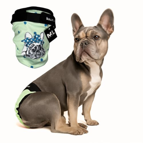 MyBullyLove Läufigkeitshöschen für Französische Bulldoggen – Wiederverwendbare Hundewindel ohne Rutenloch, Handgefertigt & Stufenlos Verstellbar, Mint Bully, Standard (42-47cm Hüftumfang)