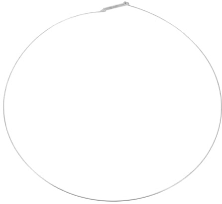 Joint de Porte pour Lave-linge 32cm en Acier Inoxydable, Collier | Argenté, pour Machine à Laver à Chargement Frontal, Accessoire de Remplacement