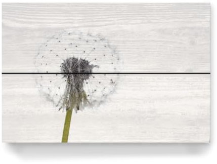 artboxONE Holzbild 30x20 cm Natur Die Pusteblume von Künstler Die Welt Tanzt Farben