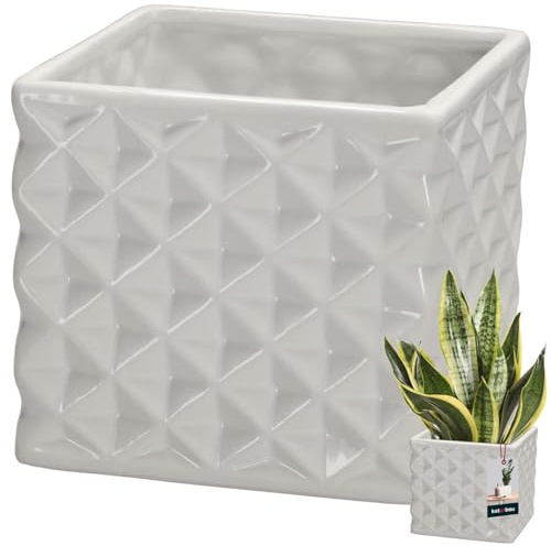 KOTARBAU® Maceta de cerámica cuadrada, glazada, blanca, 14 x 14 cm H 13 cm, para plantas de interior, orquídeas y suculentas, colección Piano