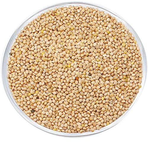 Leimüller Miglio giallo 5 kg | Miglio naturale giallo proveniente dall'Austria | Ideale come mangime per uccelli, cibo per pollo, mangime per anatre, quaglie | Eccellente fonte di proteine per
