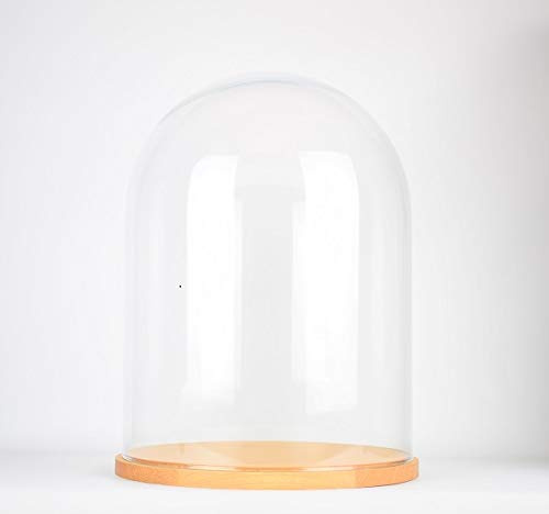 EMH Campana circular de cristal grande hecha a mano con base de madera, 41,5 cm