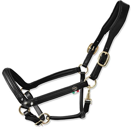 Horses, Lederhalfter Tasting Anatomic, Komfortables Halfter zum Führen des Pferdes an der Hand oder zum Sichern beim Putzen, Satteln oder Transportieren (Cob, Schwarz)