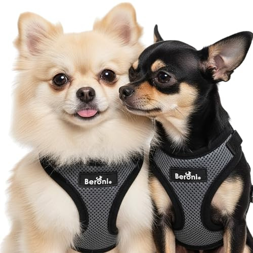 Beroni® Hundegeschirr kleine Hunde ausbruchsicher, verstellbar & leicht, ohne Über-den-Kopf-Ziehen, Sicherheitsgeschirr grau-schwarz für Chihuahua, Zwergspitz Softgeschirr (XS/S)
