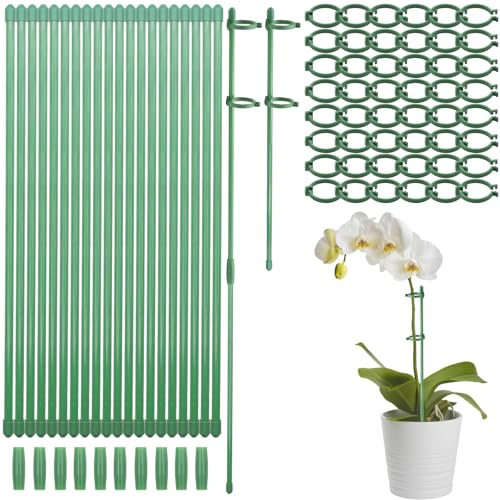 Scettar 20 Stück Pflanzenstütze, 30cm Pflanzenhalter für Orchideen, Zimmerpflanzen Stäbe Geeignet für Orchideen, Rose, Tomatenpflanzen, Blumenhalter mit 40 festen Schnallen und 10 Doppelpassrohre