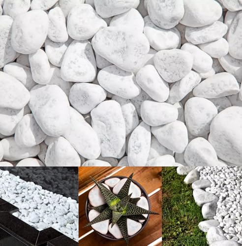 Carrara Decorative Natural Marble SNOW WHITE 20-40mm 20 kg Pure White Pebbles Stones Gravel Chippings Landscape Garden Home (10, Kilograms)