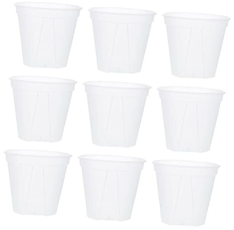 TOYANDONA 10piezas Macetas De Plástico Transparentes para Control De Raíces Contenedor De Jardinería para Plantas Verde y Rosal para Jardín