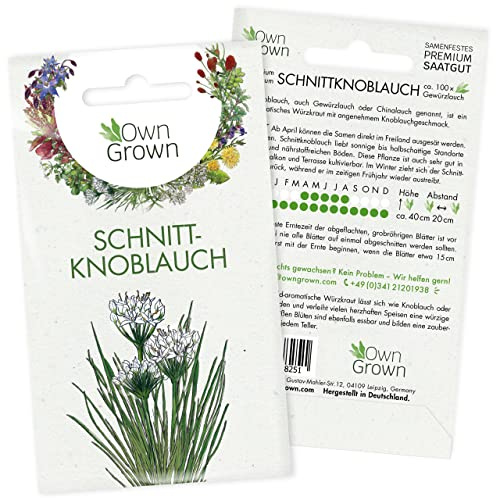 Schnittknoblauch Samen mehrjährig: Schnittknoblauch Pflanze zur Anzucht von 100 Kräuter Pflanzen – Wildkräuter Samen – Saatgut Kräuter Pflanze OwnGrown