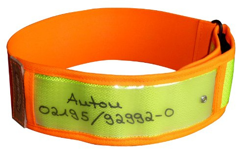 Niggeloh Hundehalsband Warnhalsung, gelb, XS, 101100027