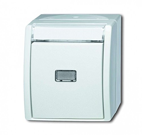 Busch-Jaeger 2621 WN-54-201 Wipptaster Schließer (Thermoplast) Alpinweiß ocean® (IP 44) 2CKA001484A0378