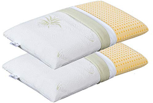 EVERGREENWEB 2er Set Orthopädische Viscoschaumstoff Kissen 40x70 h12 cm Kern aus Viscoelastische Viscoschaum und Kissenbezug Aloe Vera Kopfkissen, Nackenkissen, Medizinisches Gerät, Made in Italy