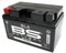 BS Battery 300636 BTZ10S AGM SLA Motorrad Batterie, Schwarz