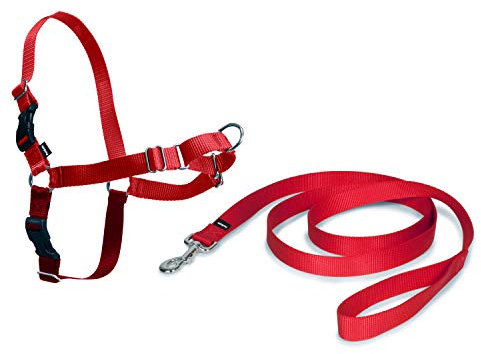 Premier Easy Walk Hundegeschirr, rot, Größe M