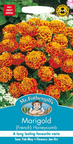 Mr. Fothergill's Marigold French Honeycomb Flower Seeds