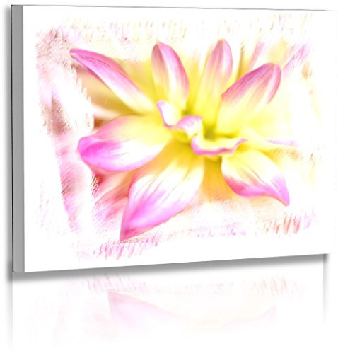 Premium - Leinwand - Dahlie - Blüte - Naturbilder - Blumenfotos - Weiss - Gelb - Wandbilder XXL - Blume - Bild - Abstrakte Bilder - Frühlingsblumen - Fotoleinwand - Leinwandbild (120 cm x 80 cm)