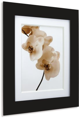 Umbra 316128-040 Pictura Bilderrahmen aus lackiertes Holz für 1 20 x 25 cm und 47 x 52 cm Fotos schwarz