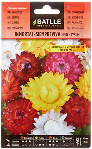 Batlle - Semi di elicriso semprevivo, Fiore di Carta, Vari Colori