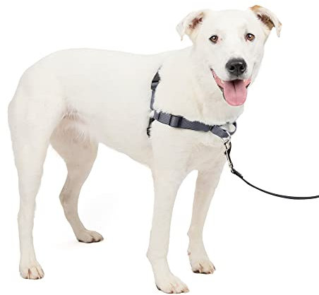 PetSafe Easy Walk Deluxe Dog Harness, No Pull Dog Harness – Perfect for Leash & Harness Training – Stops Pets from Pulling and Choking on Walks – Medium/Large, Steel
