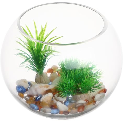GANAZONO Clear Glass Round Fish Bowl 8 Inch Desktop Aquarium Fish Tank for Goldfish and Hydroponic Plants Home Office Decor