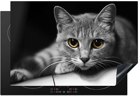 MuchoWow Herdabdeckplatte Ceranfeld Spritzschutz Küche Katze - Tier - Makro 76x51.5 cm Induktionsherd Abdeckung Induktionskochfeld Ceranfeldabdeckung