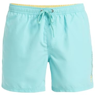 Quiksilver Boardshorts SPL FINELINE VOLLEY 15 Män Blå XL, Aqua himmel, XL