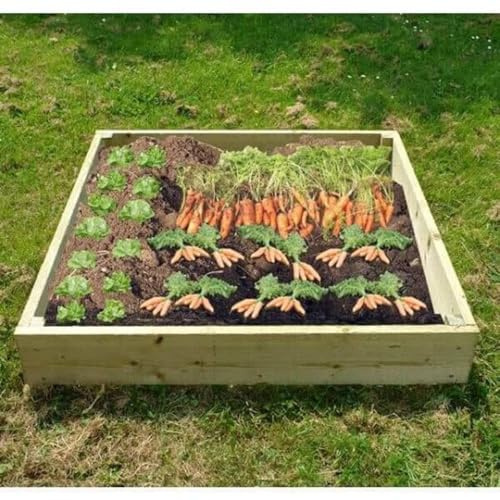 The Garden TImber Company Wooden Raised Veg Beds - 1.5m x 1m