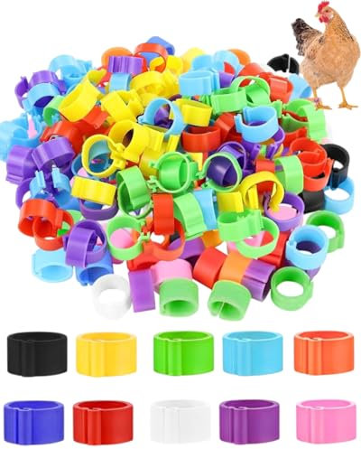 KEMUZ 100 Stück hühnerringe GeflüGel FußRinge mit bunter,BrieftaubenfußRing KleingeflüGel Klemmringe HäHnchen Beinringe Taubenring,für Enten Küken Huhn Meertauben Gans Wildgeflügel Pute,10mm