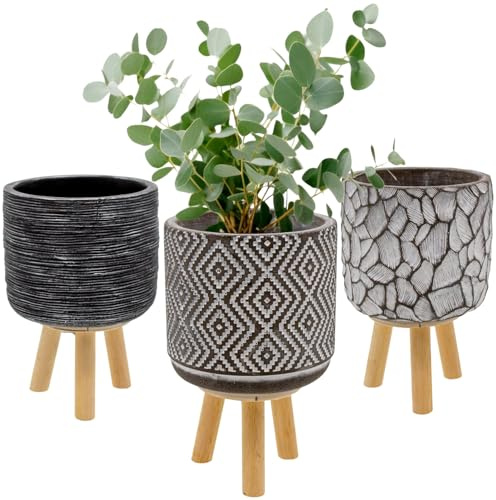 LIVINJA Pflanztopf Set 3er Deko-Blumentopf Modern, Ø 12 cm, Höhe 20 cm, Zement-Optik mit unterschiedlichen Muster, Holzfüße, Innen- und Außendekoration, Grau-Schwarz, für Zimmerpflanzen