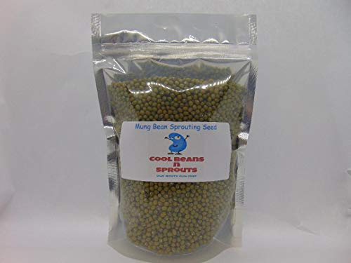 COOL BEANS n SPROUTS Brand, Mung Bean Seeds for Sprouting Microgreens,2 Ounces, A superfood Packed with antioxidants and Health-Promoting nutrients. A Family Run USA Business, Jacobs Ladder Ent.