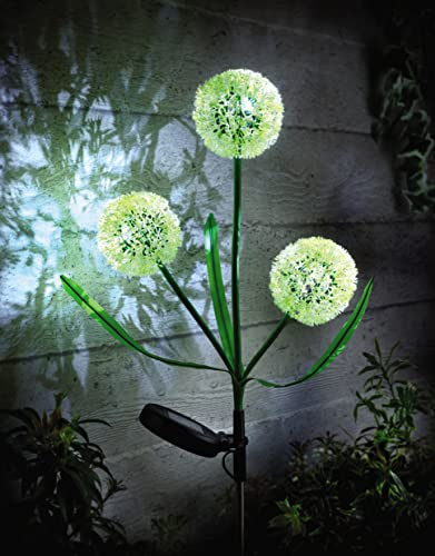 mysmartbuy.com 1 x Solar Allium Bloom Light – 75 x 9cm Solar Powered Outdoor Garden Decor Pathway Patio Border Lawn Lighting – Yellow & Green Flower Design Metal Stake Light