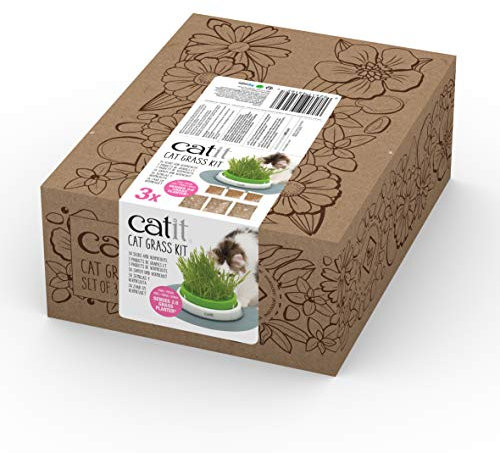 Catit Katzengrassamen, Katzengras, 3er Pack
